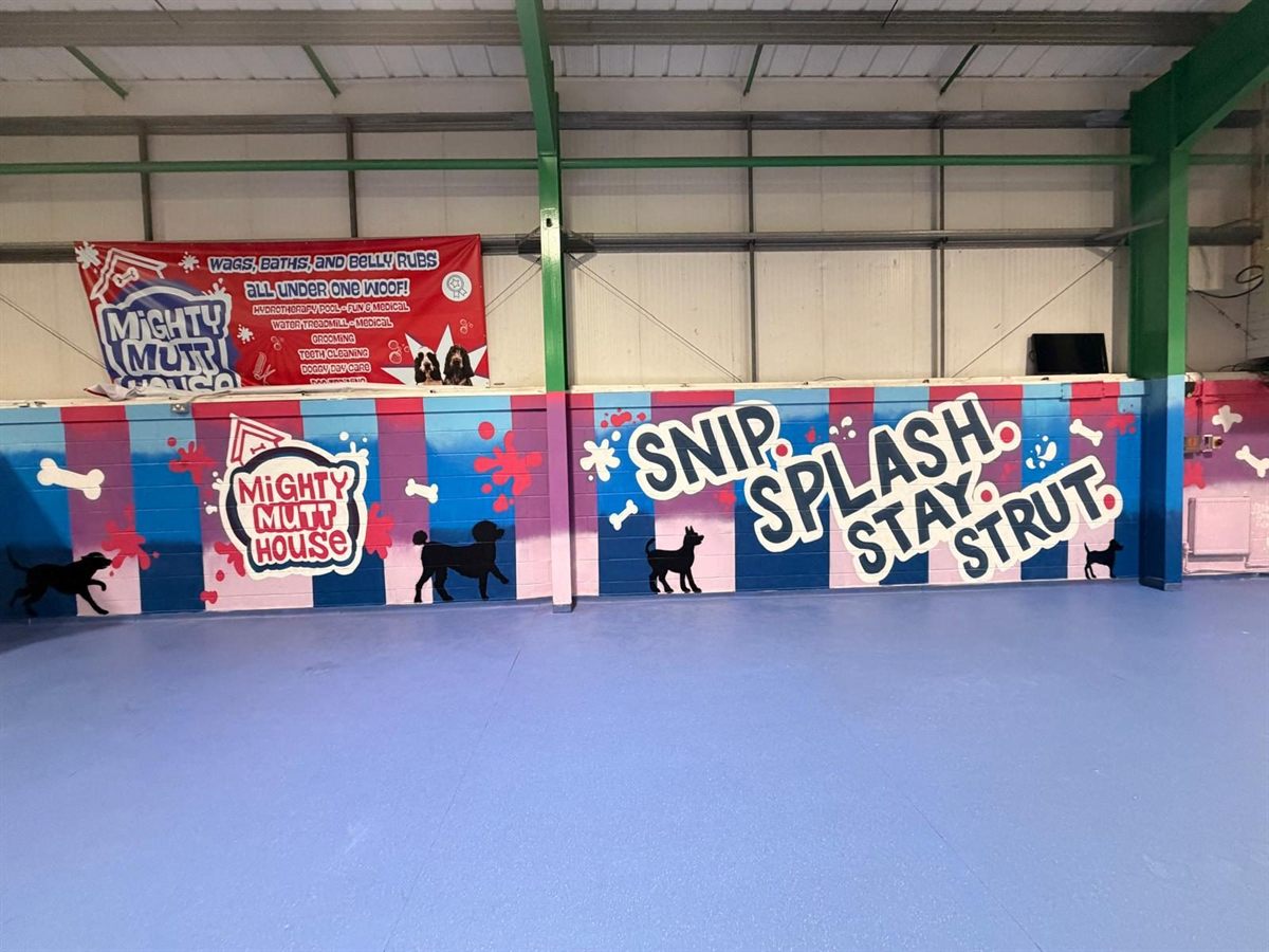 The indoor arena wall with the Mighty Mutt House banner and painted dogs