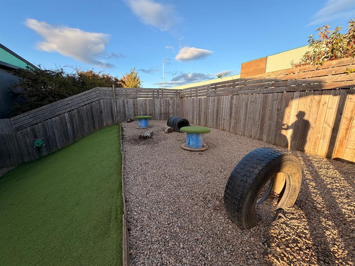 The outdoor paddock with a grass area, wooden fencing and tyres to play on