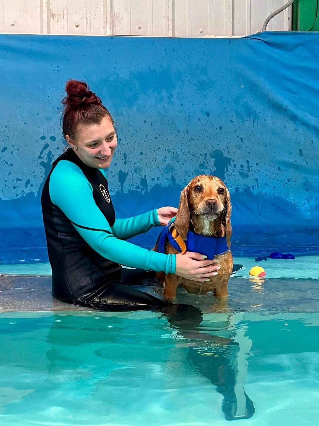 A member of staff with a spaniel in the hydrotherapy pool