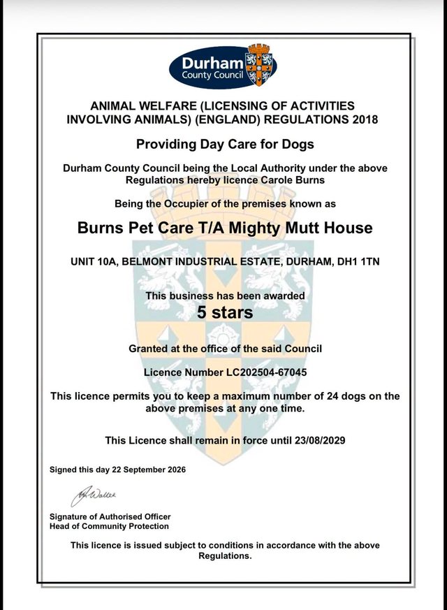 The Durham County Council licence certificate for Providing Day Care for Dogs, awarded 5 stars to Burns Pet Care T/A Mighty Mutt House, valid until 23 August 2029. Select it to view the full-size certificate.