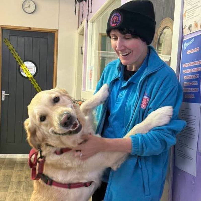 Amy from the day camp team cuddling a happy golden retriever