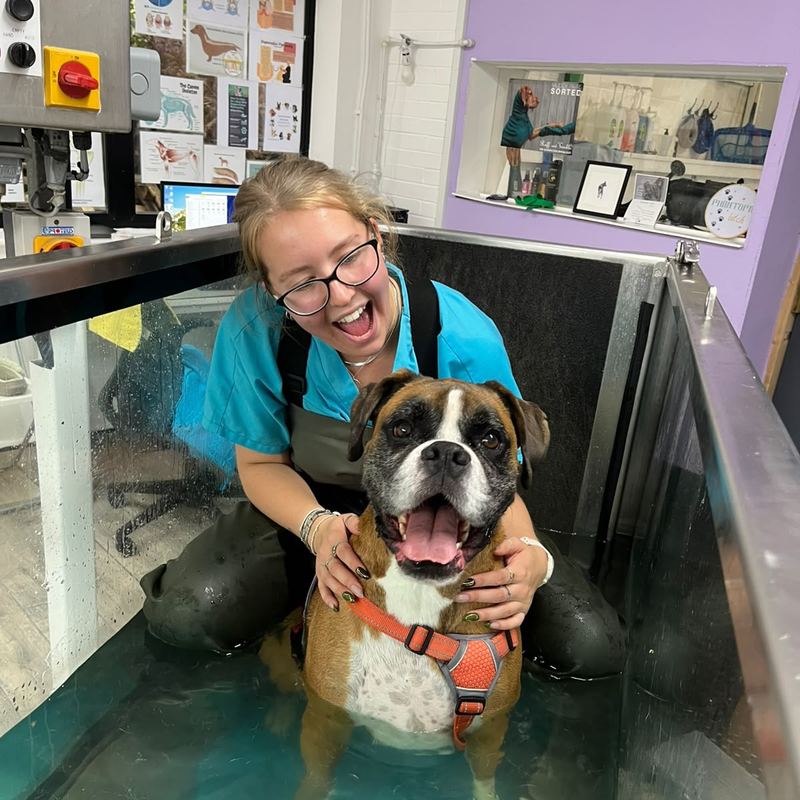 Clara, head hydrotherapist, smiling with a boxer standing in the water treadmill