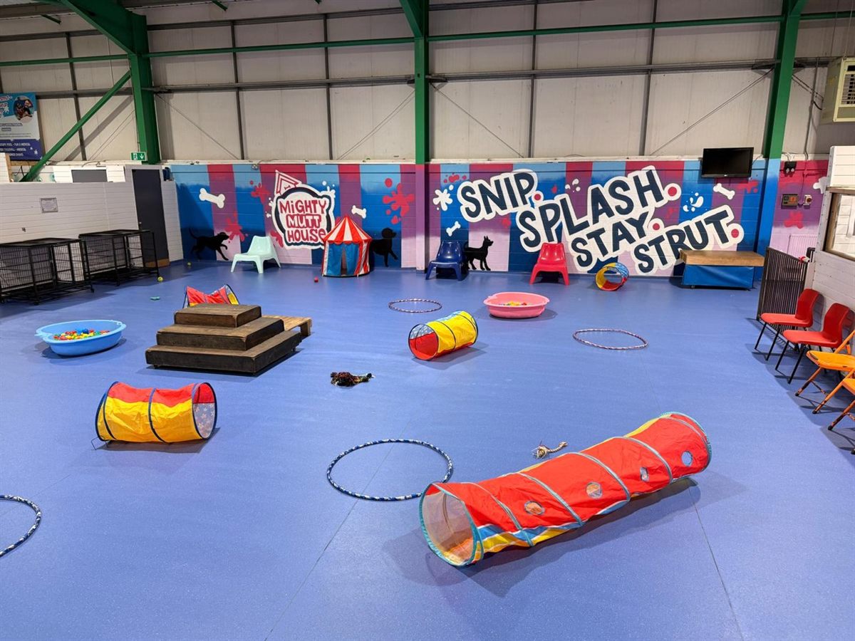 The Mighty Mutt House training room with tunnels, hoops, a ball pool and the Snip Splash Stay Strut wall