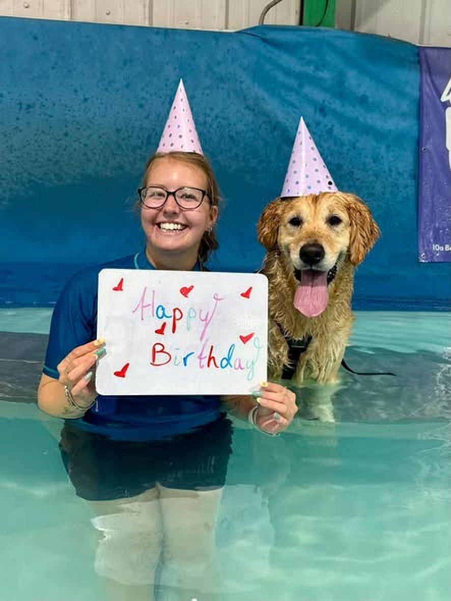 Clara and Meeko the golden retriever in the hydrotherapy pool wearing party hats, Clara holding a Happy Birthday sign