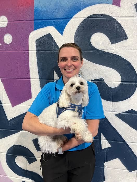 Terri, our new day care assistant, holding a small white dog in front of the painted wall