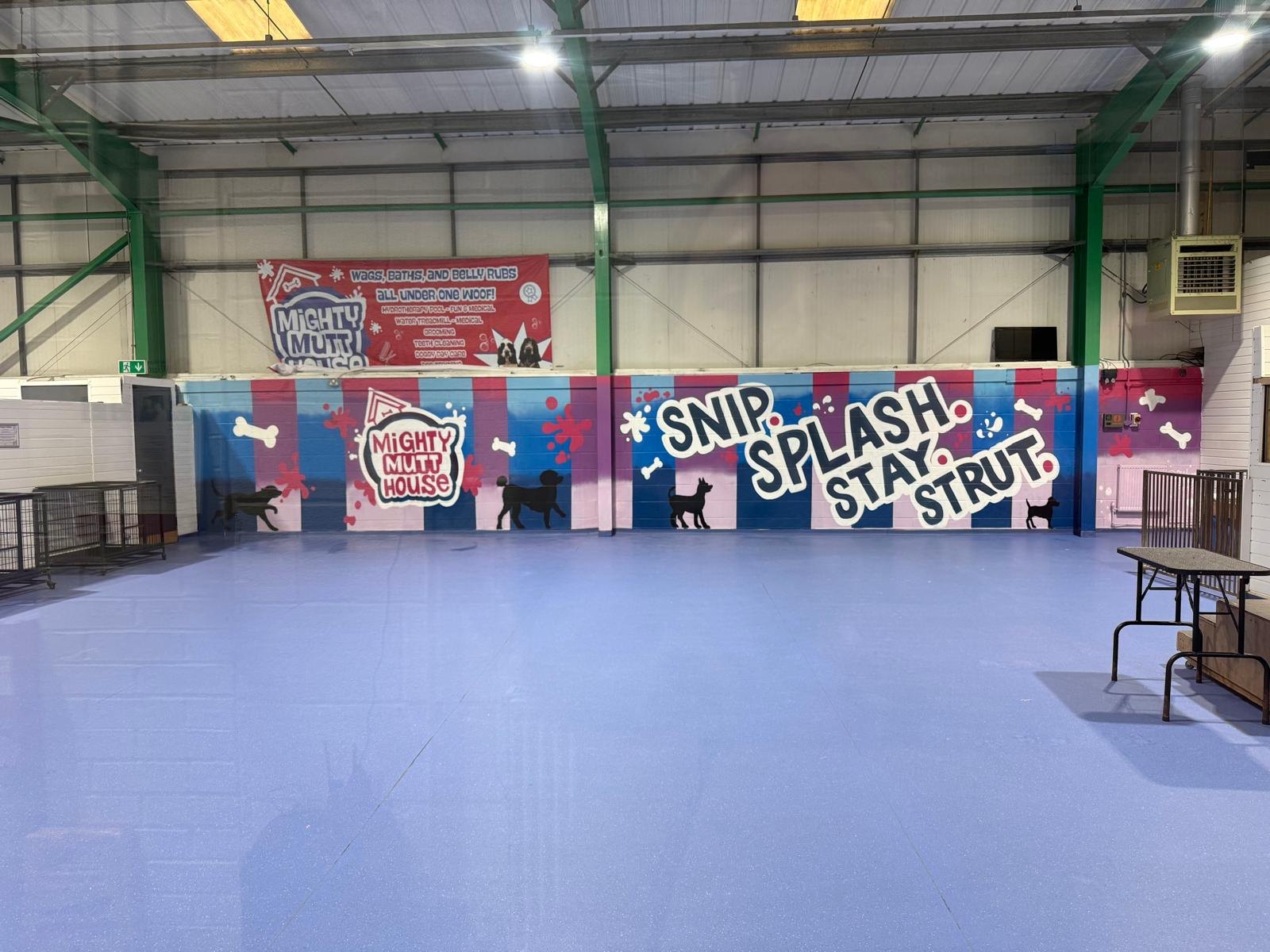 Our new wall: Snip, Splash, Stay, Strut